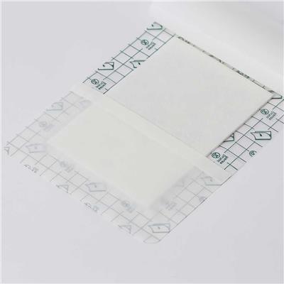 Ez Derm Defender Pads - Dövme Sonrası Koruyucu Bant Film - 15 cm x 20 cm - 20 Adet