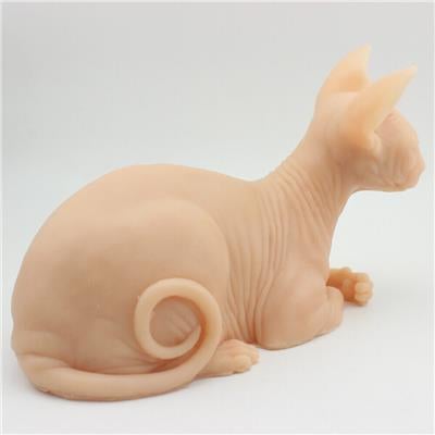 Kedi Şeklinde Deneme Derisi