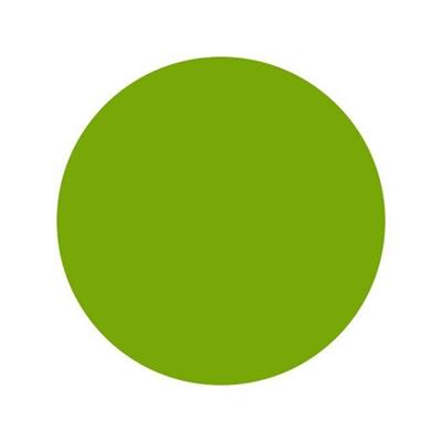 Lime Green - Intenze Dövme Boyası - 1oz/30ml