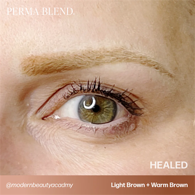 Perma Blend Light Brown Kalıcı Makyaj Kaş Pigmenti 15ml