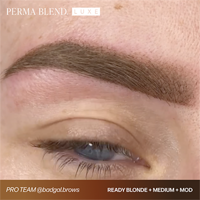 Perma Blend Luxe Ready, Set, Go Pre-Modified Set 6lı – 15 ml Kaş Pigment Seti