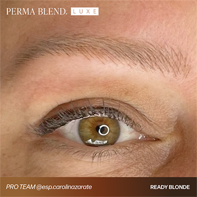 Perma Blend Luxe Ready, Set, Go Pre-Modified Set 6lı – 15 ml Kaş Pigment Seti