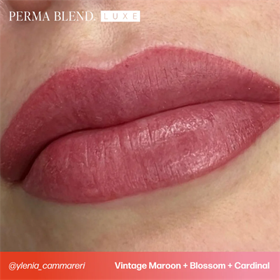 Perma Blend Luxe Vintage Maroon Kalıcı Makyaj Dudak Pigmenti 15ml