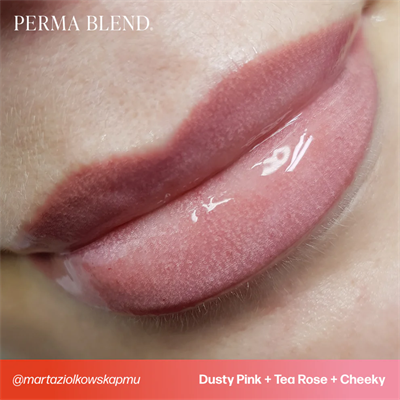 Perma Blend Tina Davies Dusty Pink Kalıcı Makyaj Dudak Pigmenti 15ml