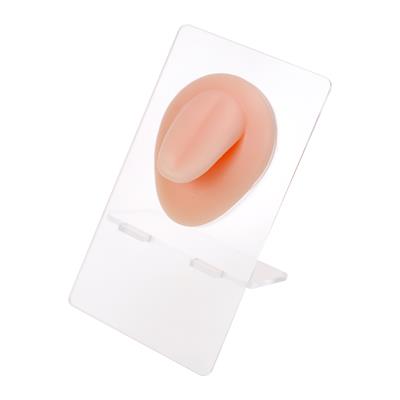 Silikon Dil - Standlı