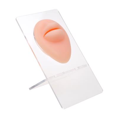 Silikon Dudak - Standlı