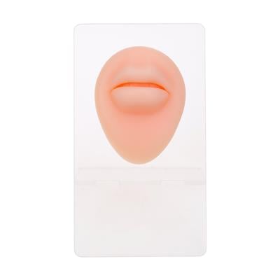 Silikon Dudak - Standlı