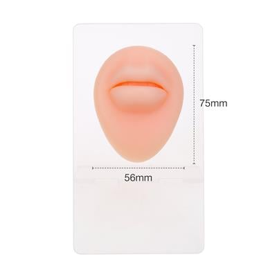 Silikon Dudak - Standlı