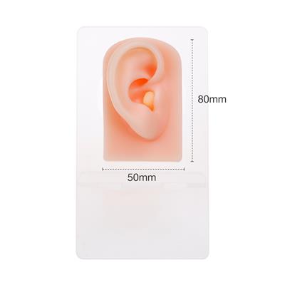 Silikon Sağ Kulak - Standlı