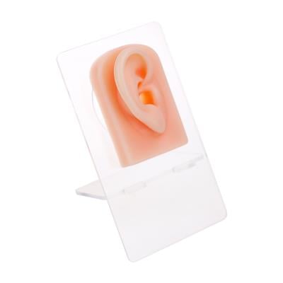 Silikon Sağ Kulak - Standlı