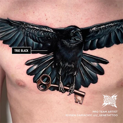 World Famous Ink True Black Siyah Dövme Boyası 4oz - 120ml