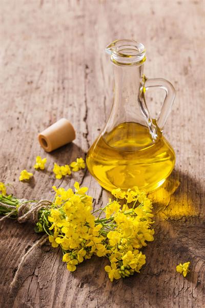 SARI KANTARON YAĞI 30 ML