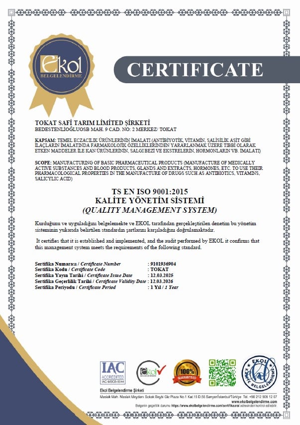 ISO 9001
