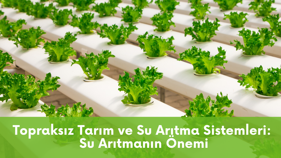 topraksız tarım için su arıtma,topraksız tarım için su arıtma cihazı,topraksız tarım su arıtma,topraksız tarım su arıtma cihazı