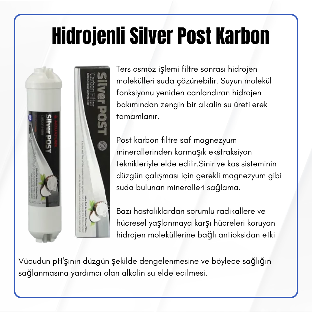 10'' Silver Post Karbon