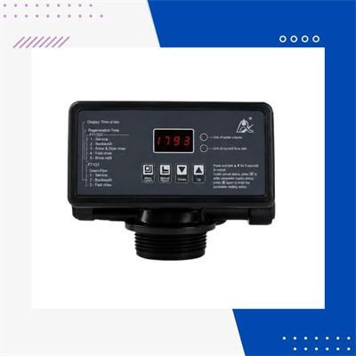 Runxin F117Q3 Yumuşatma Valfi | Otomatik Kontrol Valfi