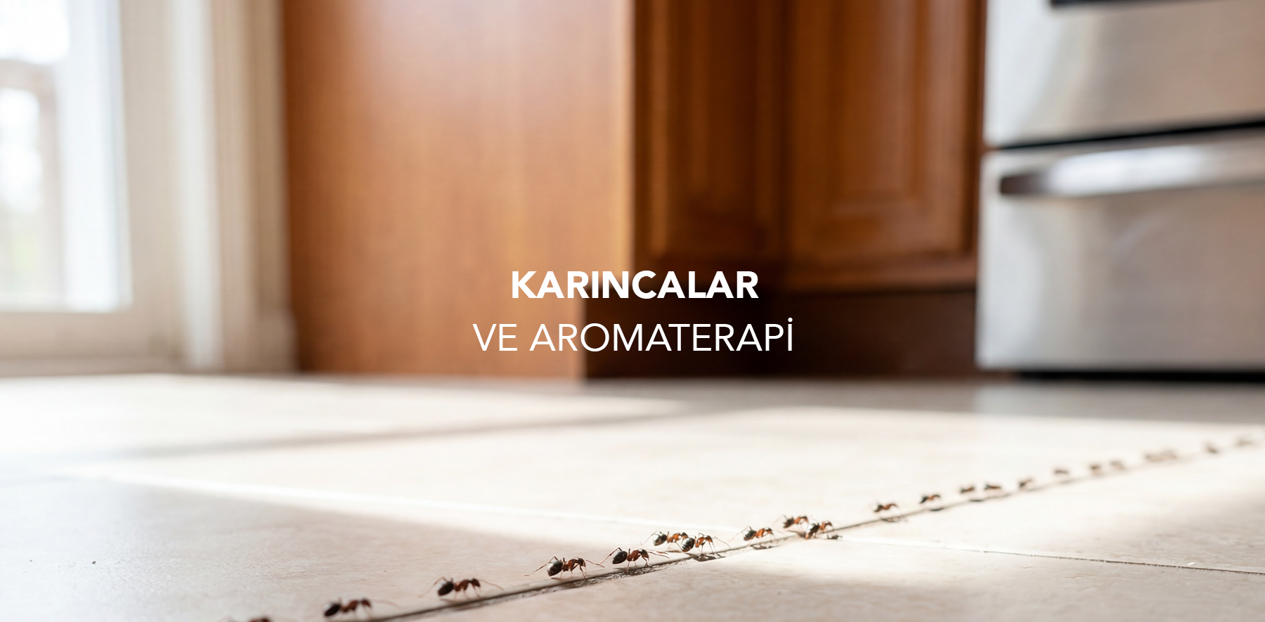 Karıncalar ve Aromaterapi