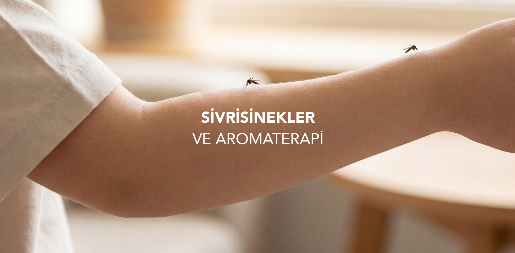 Sivrisinekler ve Aromaterapi