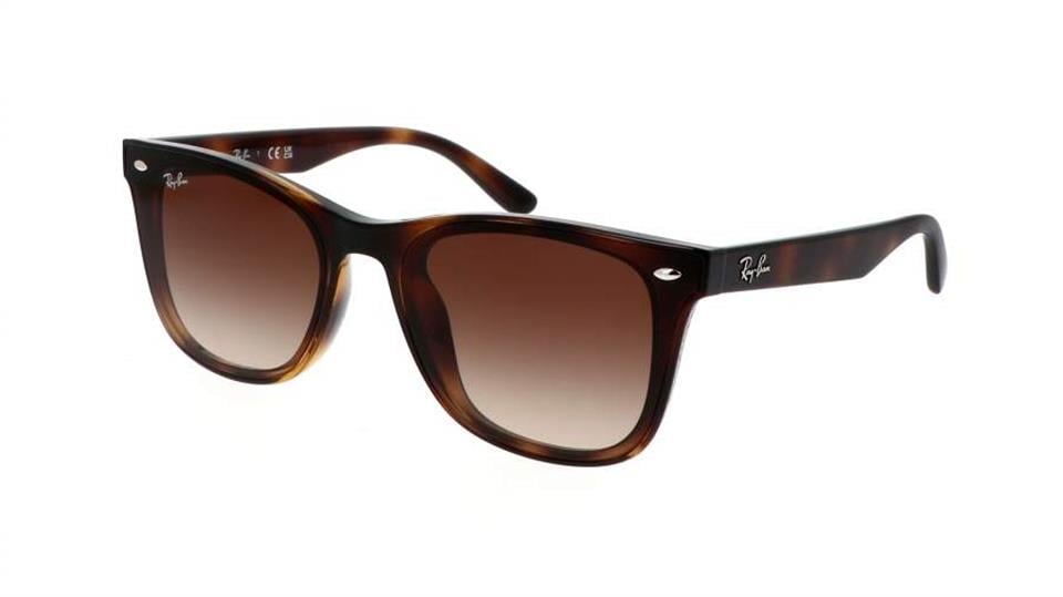 RAY BAN 4420 GÜNEŞ GÖZLÜĞÜ