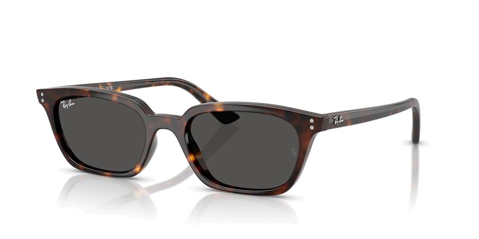 RAY BAN 4456 GÜNEŞ GÖZLÜĞÜ