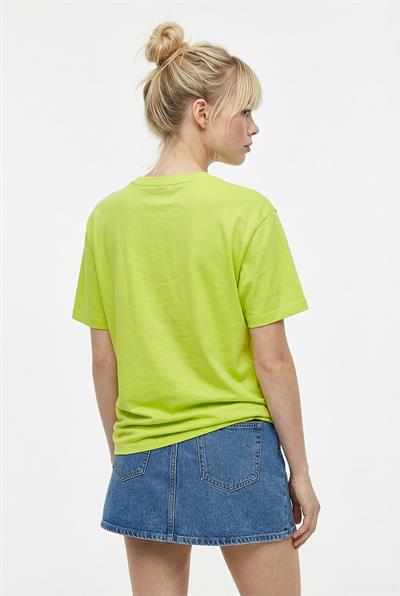 Kadın %100 Pamuk El İşi Flamingo Nakış Detaylı Premium Tasarım T-Shirt 1004 60282049 - Fıstık Yeşili