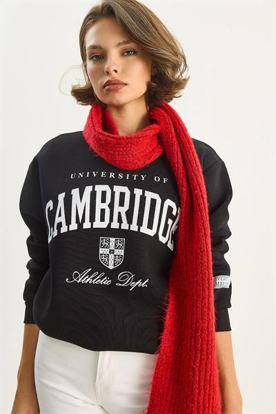 Kadın Bisiklet Yaka Baskılı Üç İplik Şardonlu Basic Sweatshirt 6067 60283619 - Siyah