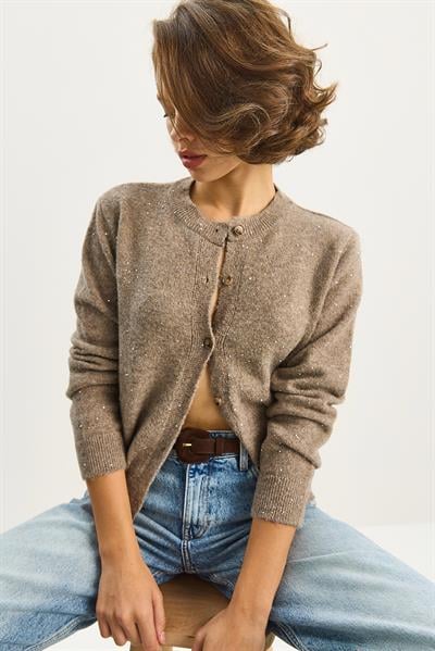 Kadın Bisiklet Yaka Pul Detaylı Yaldızlı Regular Triko Hırka 4960 60283582 - Vizon