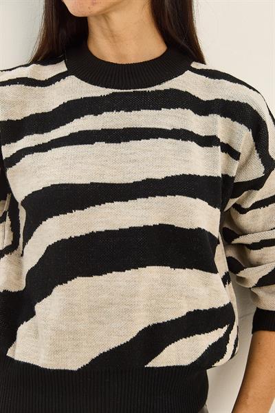 Kadın Kalın Zebra Desenli Bisiklet Yaka Triko Kazak 60285007 - Siyah-Ekru