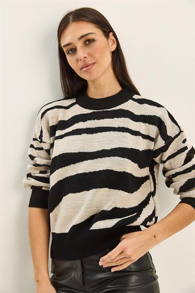 Kadın Kalın Zebra Desenli Bisiklet Yaka Triko Kazak 60285007 - Siyah-Ekru