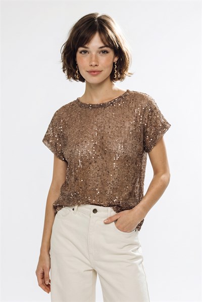 Kadın Pul Payet Detaylı File Oversize Bluz 4248 60286308 - Vizon