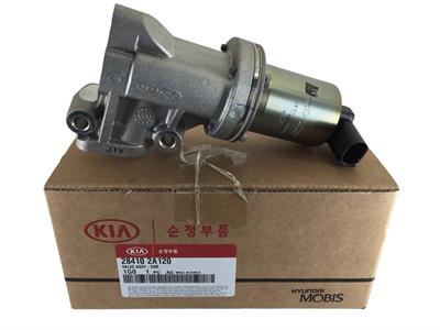 EGR VALFİ ERA RİO GETZ ELANTRA İ10 İ20 İ30 BLUE