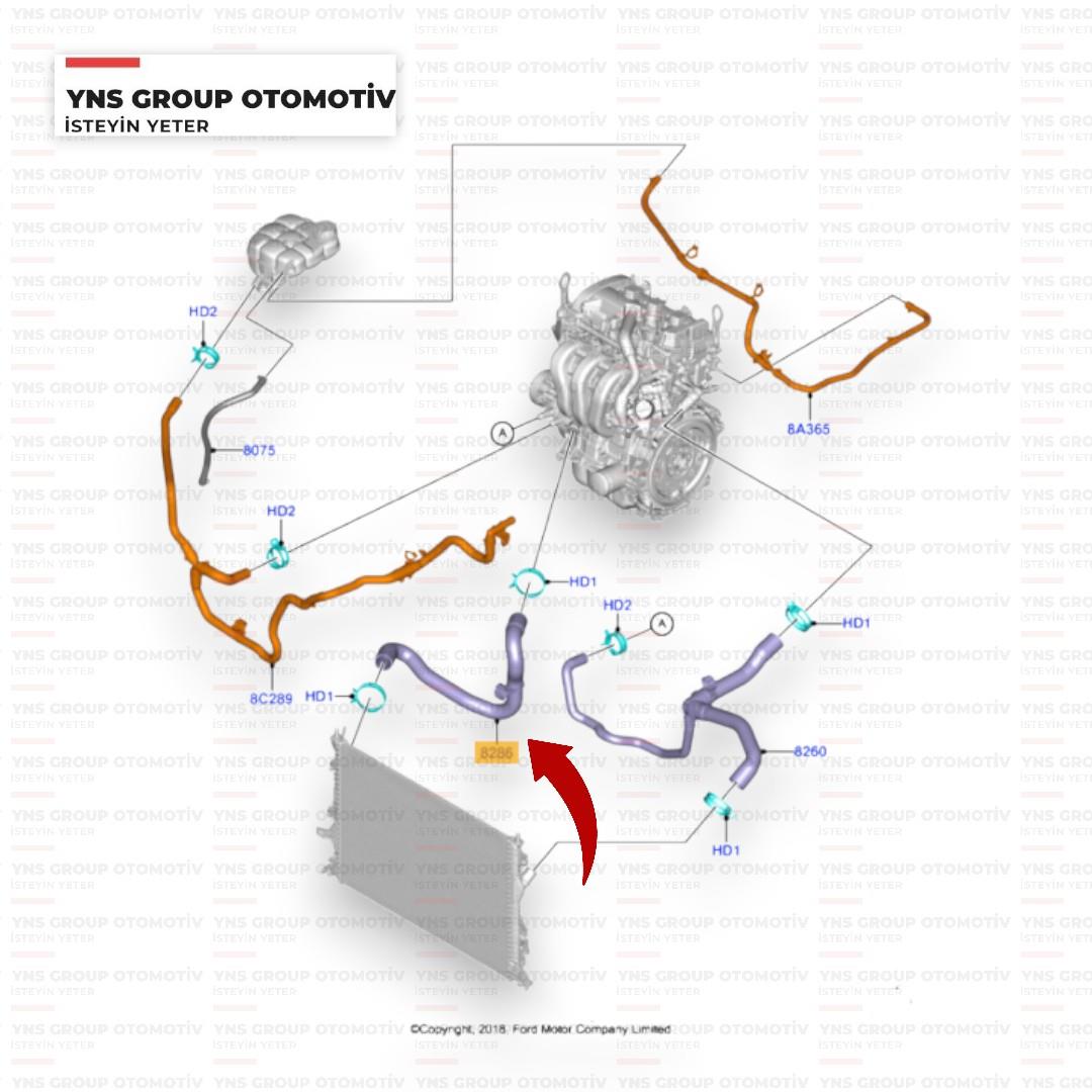 Ford Focus 18- 1.5 Benzinli Radyatör Alt Hortumu Orjinal Otosan - Jx618286dd