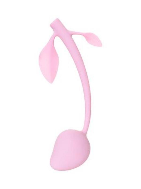 Censan Vişne Vajinal Top Pembe