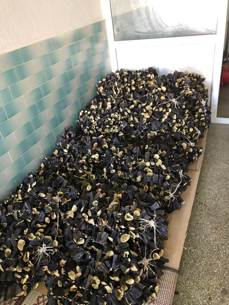 Kuru Dolmalık Patlıcan