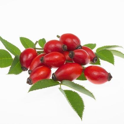 Kuşburnu Marmelatı