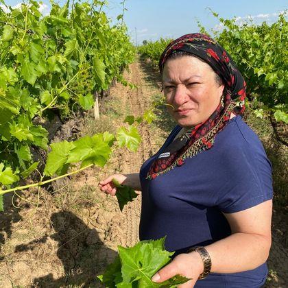 Yaprak