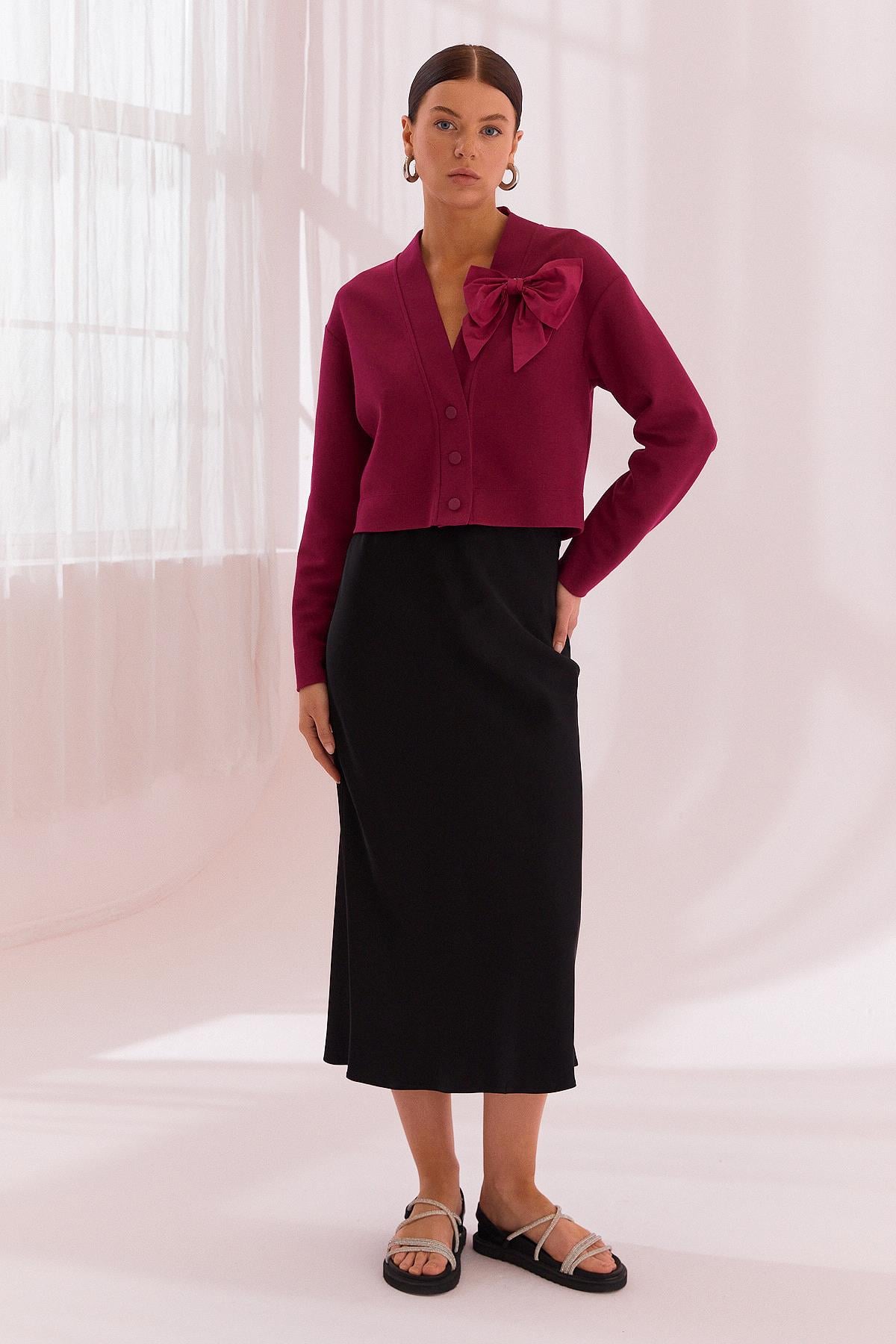 NAAR 12619 HIRKA VİŞNE