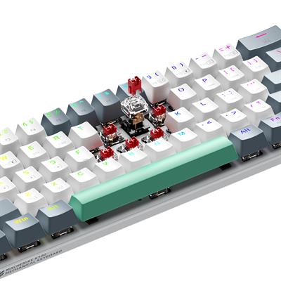 Machenike K500-B61W Tri-Mode Red Switch RGB Beyaz ENG Q Gaming Klavye