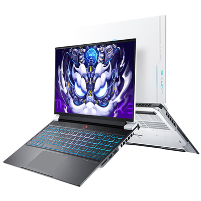 Machenike L16Pro i7-14650HX RTX 4070 8GB 16GB DDR5 1TB PCIe 4.0 SSD WQHD 100% sRGB 240Hz AX201 Wi-Fi Windows 11 Gaming Notebook