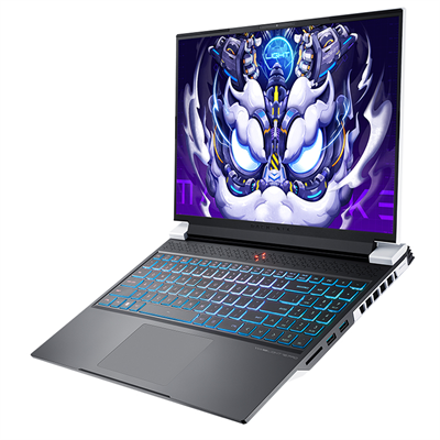Machenike L16Pro i7-14650HX RTX 4070 8GB 16GB DDR5 1TB PCIe 4.0 SSD WQHD 100% sRGB 240Hz AX201 Wi-Fi Windows 11 Gaming Notebook