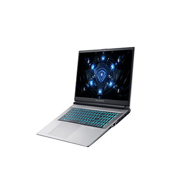 Machenike L17 i7-13620H RTX 4050 6GB 16GB DDR5 512GB SSD FHD 45% NTSC 144Hz AX201 Wi-Fi Windows 11 Gaming Notebook