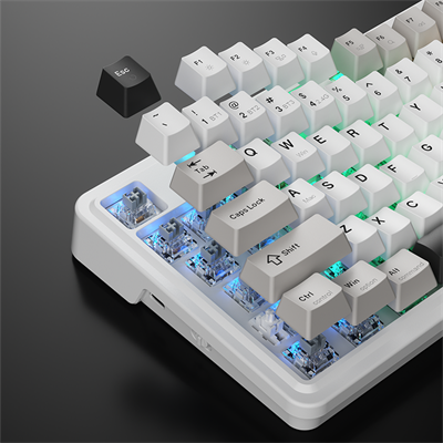 Machenike KG 87 Tri-Mode Silver Switch RGB ENG Q Beyaz Gaming Klavye