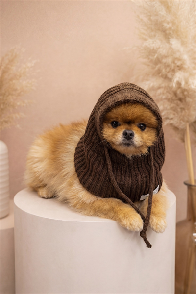Dog Acı Kahve Triko Örgü Balaclava Bere Şapka