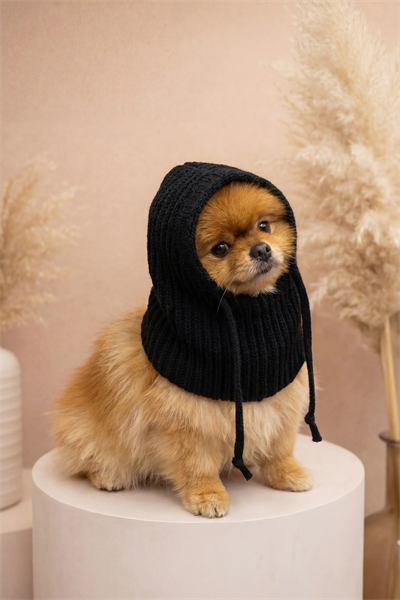 Dog Siyah Kahve Triko Örgü Balaclava Bere Şapka