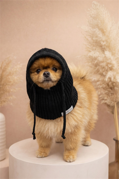Dog Siyah Kahve Triko Örgü Balaclava Bere Şapka