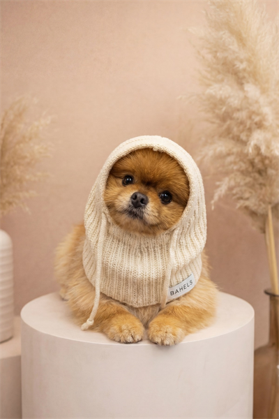 Dog Triko Örgü Balaclava Bere Şapka
