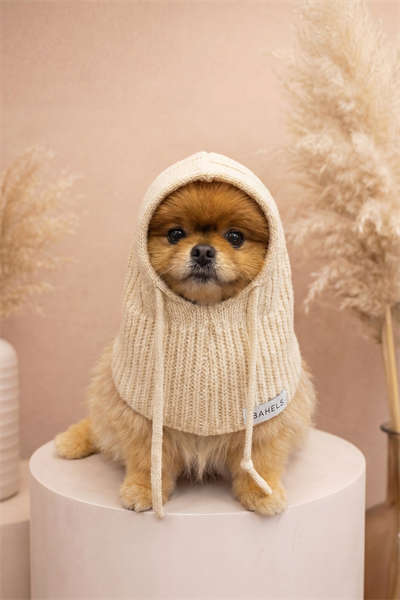 Dog Triko Örgü Balaclava Bere Şapka