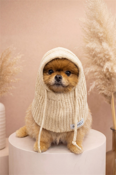 Dog Triko Örgü Balaclava Bere Şapka