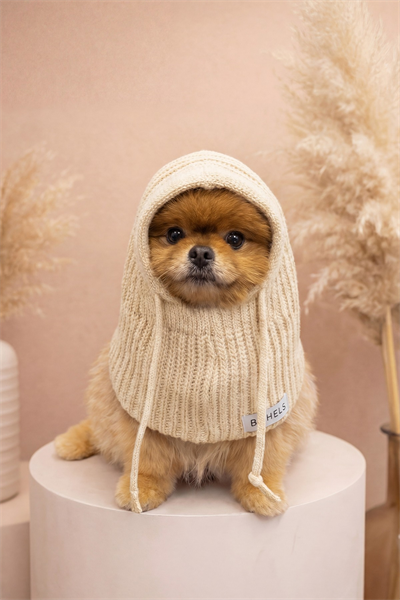 Dog Triko Örgü Balaclava Bere Şapka