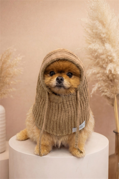 Dog Triko Örgü Balaclava Bere Şapka
